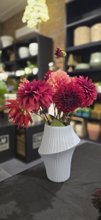 Dahlias framboise, bordeaux et saumon dans un vase blanc strié